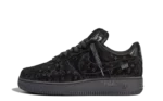 Air force L-V