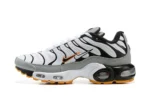 AIR MAX PLUS TN ‘DOUBLE SWOOSH’