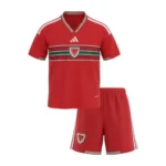Camiseta Gales 2026 1ª equipación TALLA DE NIÑO