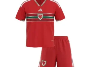 Camiseta Gales 2026 1ª equipación TALLA DE NIÑO
