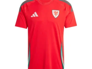 Camiseta Gales Eurocopa 2024 1ª equipación