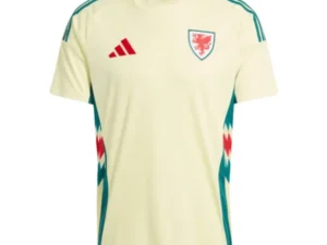 Camiseta Gales Eurocopa 2024 2ª equipación