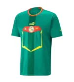 Camiseta Senegal 2022 2ª equipación