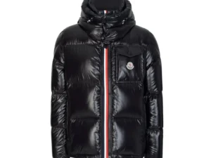 Moncler Montbeliard Down Jacket